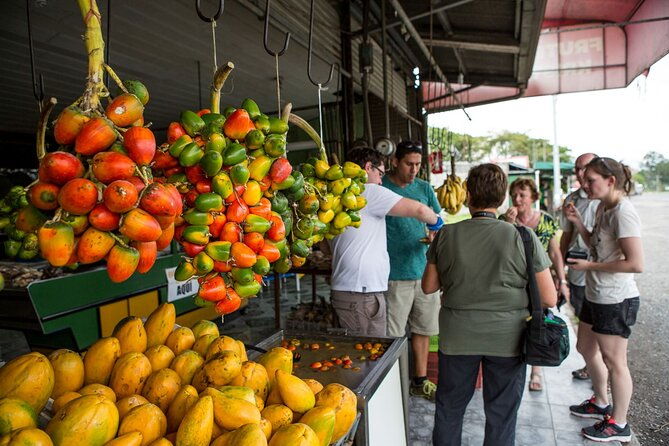 san-jose-on-foot-market-food-delights-and-city-sights-tour