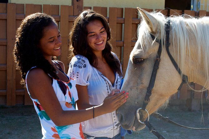 sand-n-saddle-horseback-ride-swim-tour-from-falmouth