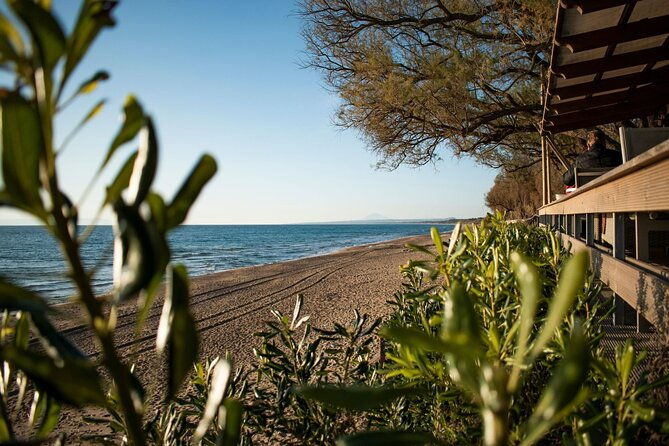 sandy-shores-shuttle-your-gateway-to-kourouta-beach