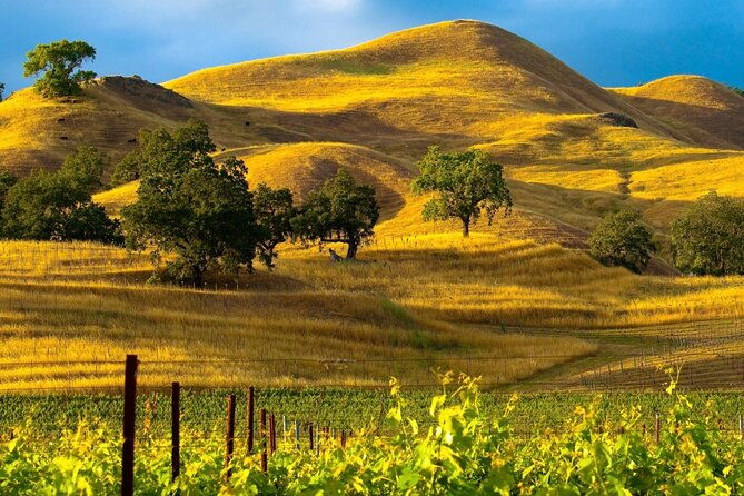 santa-barbara-and-wine-country-cruise-ship-shore-excursion