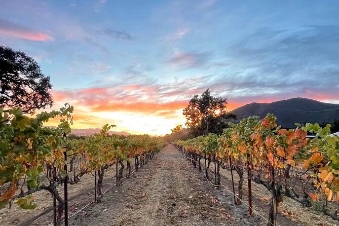 santa-barbara-wine-country-vineyard-village-tour