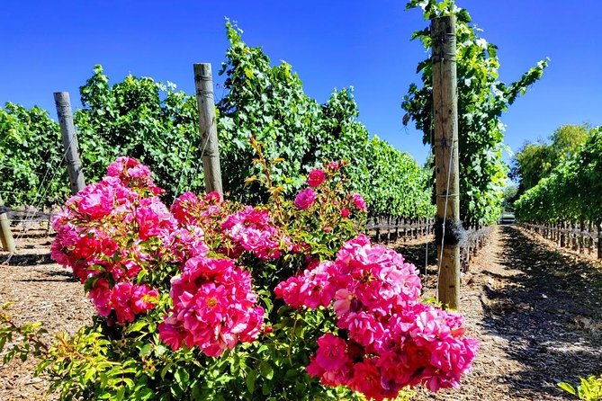 santa-barbara-wine-tasting-day-tour-from-los-angeles-2