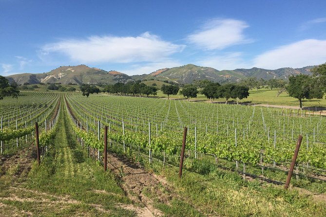 santa-barbara-wine-tour-experience-authentic-and-boutique