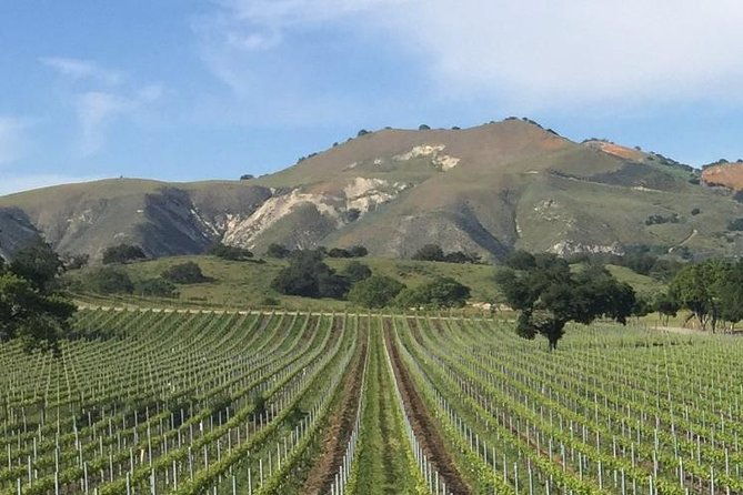 santa-barbaras-original-afternoon-winery-tour-2