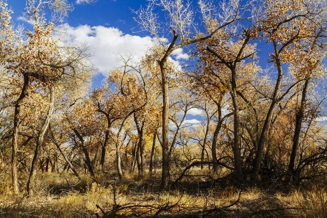 santa-fe-e-bike-adventure-half-day-tour