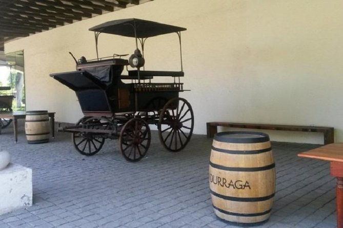 santiago-half-day-visit-to-undurraga-vineyard-entrance-and-transport-included