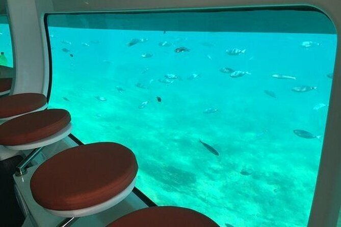 saona-island-at-yellow-submarine-exclusive-tour-from-punta-cana