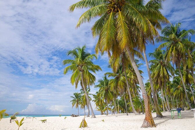 saona-island-full-day-excursion-from-punta-cana-catamaran-party