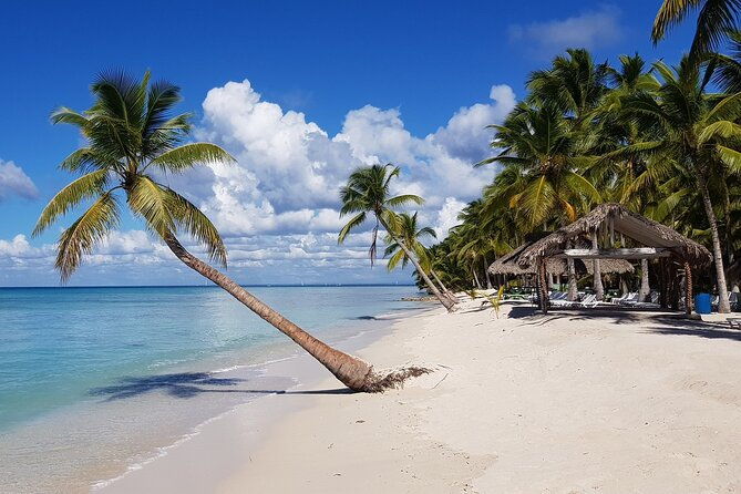 saona-island-tour-from-juan-dolio-with-pickup