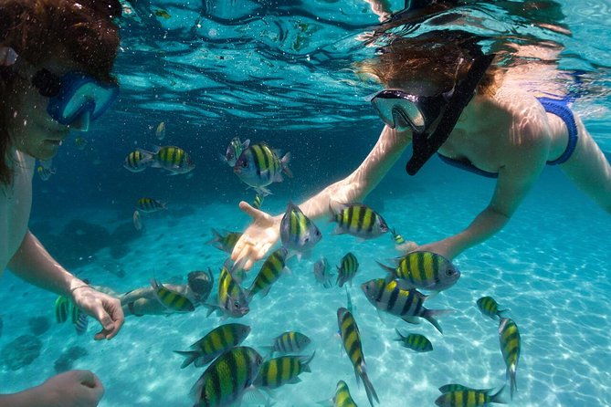 scape-park-sunshine-cruise-at-cap-cana