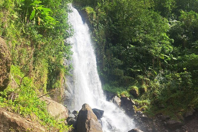 scenic-tour-of-city-and-rainforest-waterfall-sulphur-springs