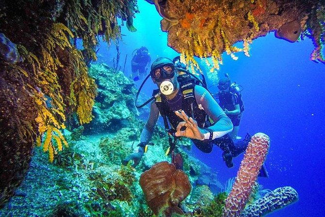 scuba-diving-at-catalina-island-2-tank-2-spots