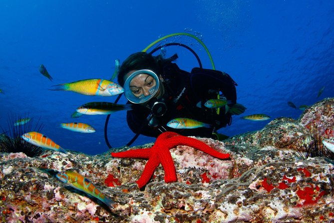 scuba-diving-baptism-in-caleta-de-fuste