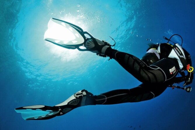 scuba-diving-experience-for-beginners-in-ponta-de-sao-lourenco