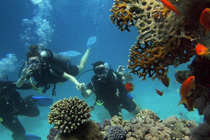 scuba-diving-experience-in-alanya-with-lunch-and-2-dives