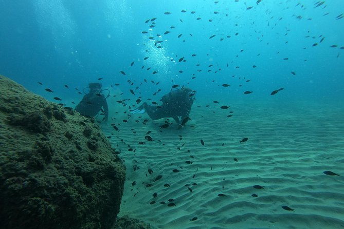 scuba-diving-for-beginners