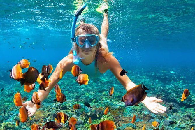 scuba-diving-snorkeling-on-catalina-island-2-tanks-2-spots
