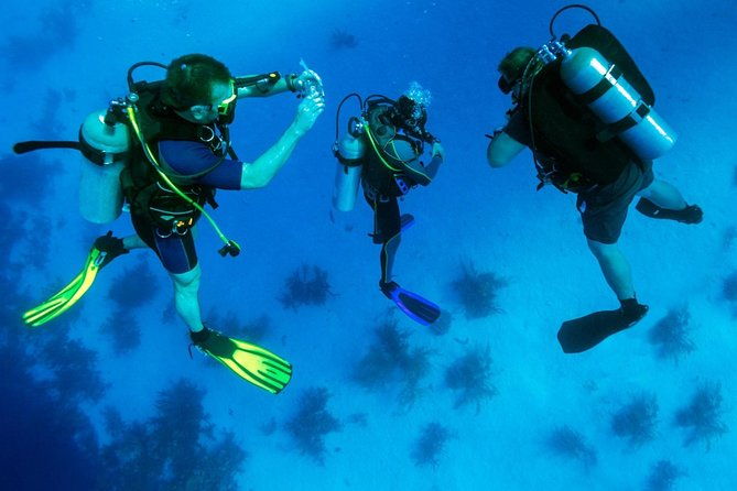 scuba-diving-tour-from-kusadasi-selcuk
