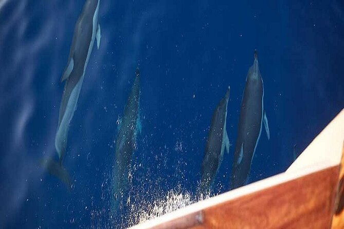 sea-fishing-day-tour-on-kaiki-paros-naousa-or-private-sunset-tour
