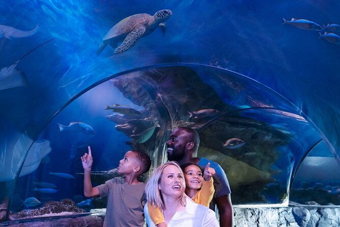 sea-life-aquarium-grapevine-admission-ticket