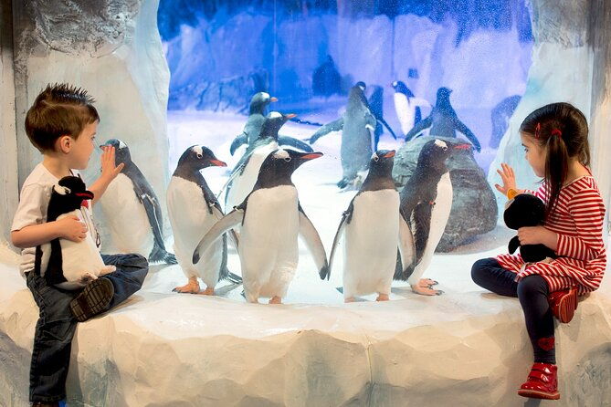 sea-life-birmingham-admission-ticket-2