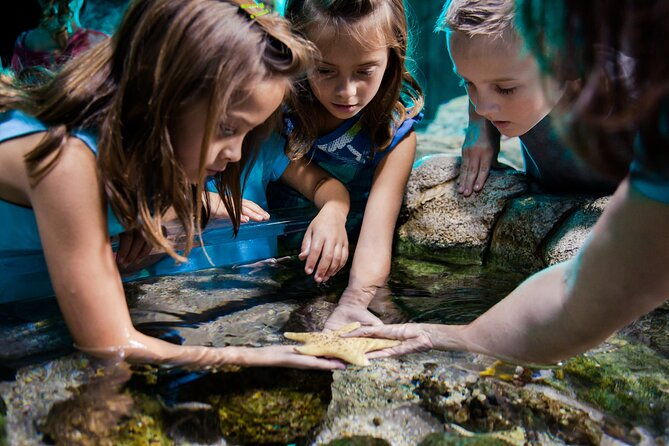 sea-life-charlotte-concord-aquarium-admission-ticket