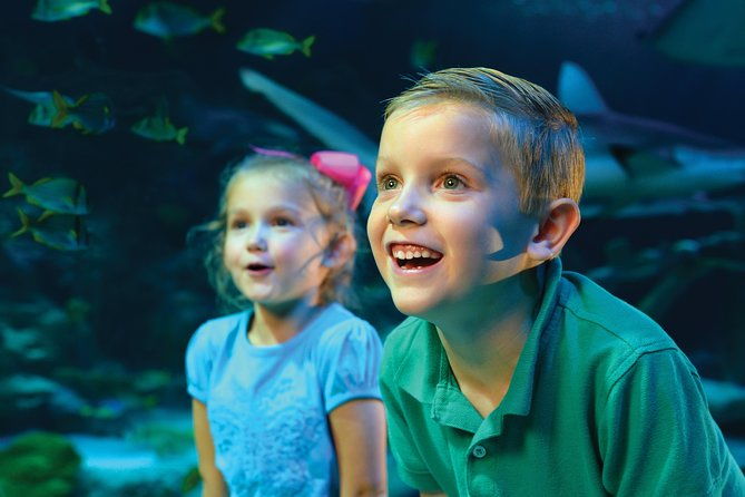 sea-life-kansas-city-aquarium-admission-ticket-2