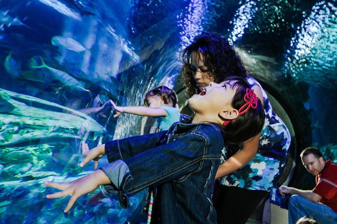 sea-life-kansas-city-aquarium-admission-ticket