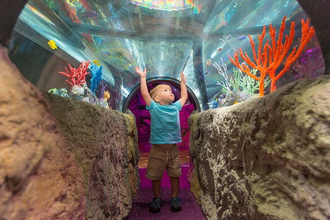 sea-life-michigan-aquarium-admission-ticket