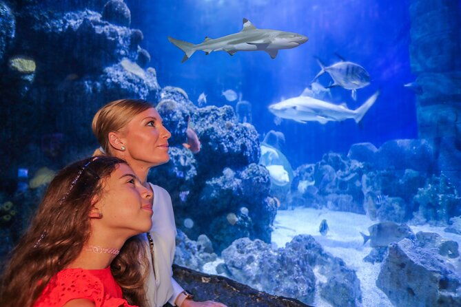 sea-life-munich-admission-ticket