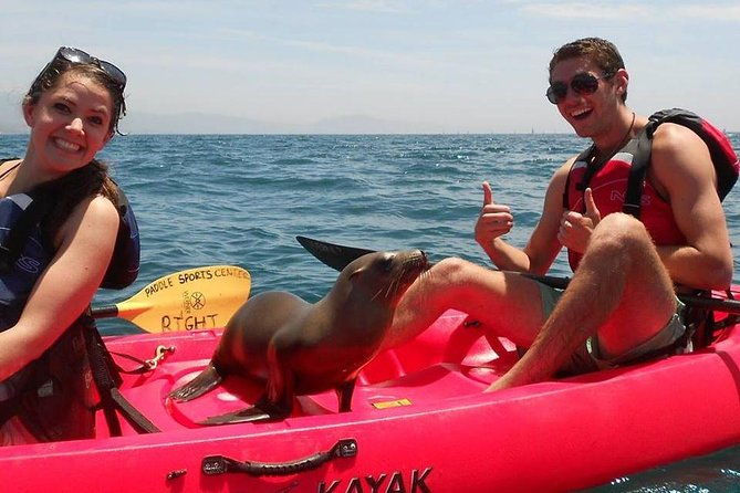 sea-lion-kayak-tour-santa-barbara-harbor-2