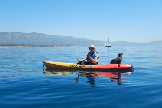 sea-lion-kayak-tour-santa-barbara-harbor