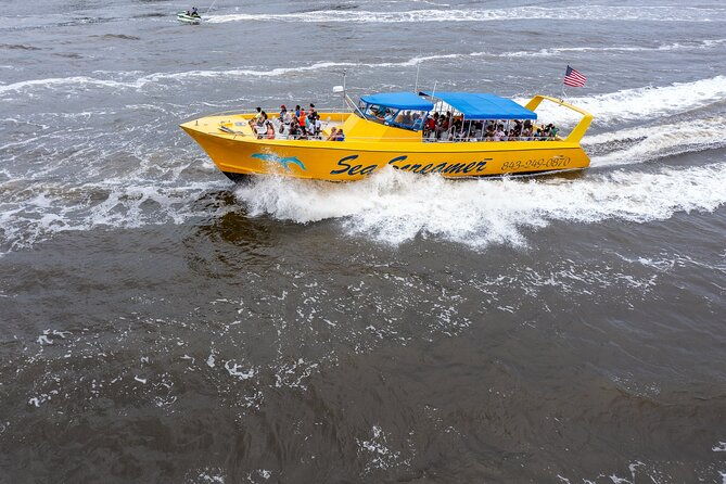 sea-screamer-cruise-2-hour-dolphin-watch-tour-in-south-carolina