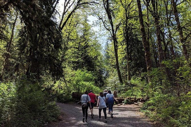 seattle-wine-and-waterfall-luxury-small-group-day-tour-with-lunch-2