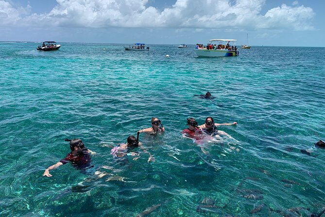second-largest-barrier-reef-adventure