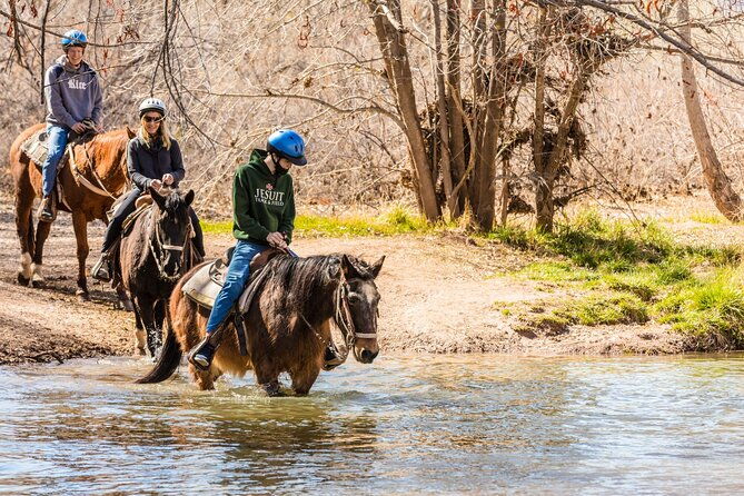 sedona-horseback-rides-at-dead-horse-ranch-with-river-crossing
