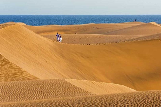 segway-experience-1-hour-sightseeing-tour-visit-maspalomas-dunes-playa-ingles