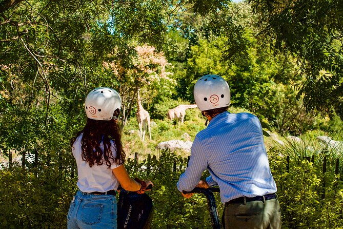 segway-tour-by-comhic-2h00-tete-dor-park