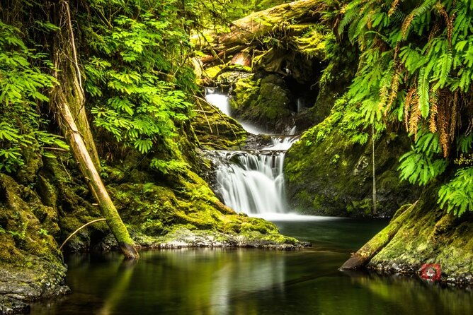 self-guided-audio-driving-tour-in-olympic-national-park
