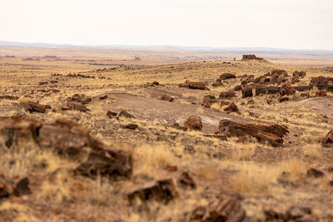 self-guided-audio-driving-tour-in-petrified-forest-national-park