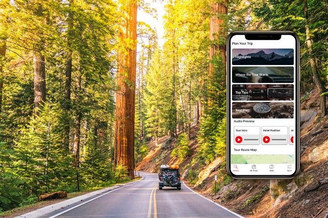 self-guided-audio-driving-tour-in-sequoia-and-kings-canyon