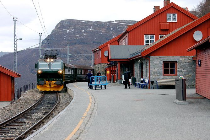 self-guided-bergen-to-oslo-daytrip-with-flamsbana-fjordcruise