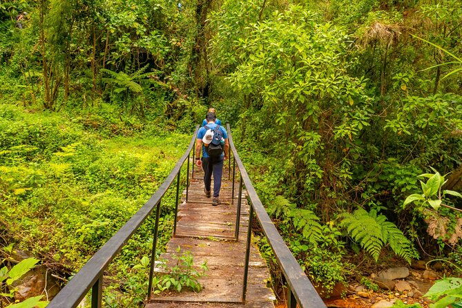 self-guided-walk-in-the-iral-cloud-forest-trails