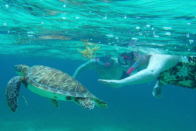 semi-private-exclusive-all-in-1-full-day-guided-tour