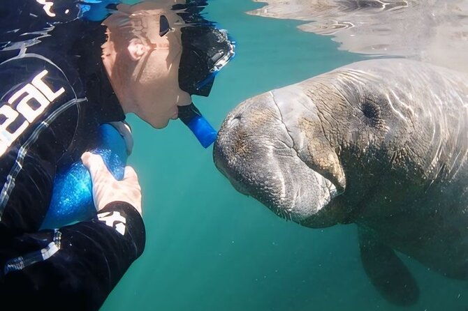 semi-private-manatee-swim-tour-with-guide-photos-included-2