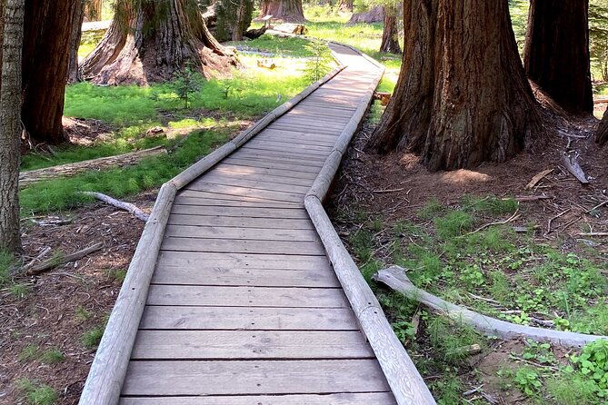 semi-private-tour-to-sequoia-national-park-with-lunch-2