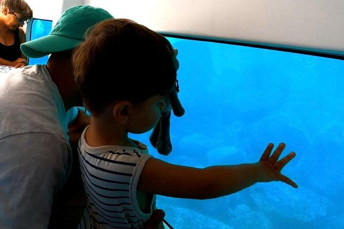 semi-submarine-visit-to-the-seabed-of-porto-bay-2