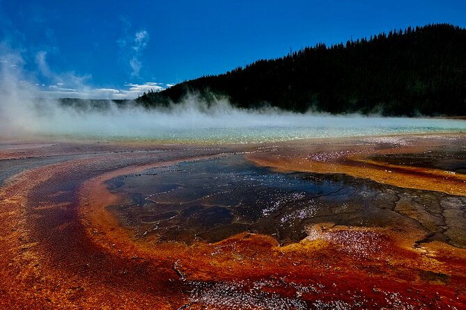 seniors-special-may-2025-yellowstone-lower-loop-tours-from-cody