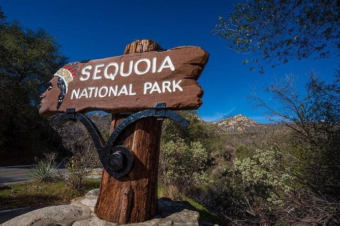 sequoia-national-park-adventure-from-tulare-2