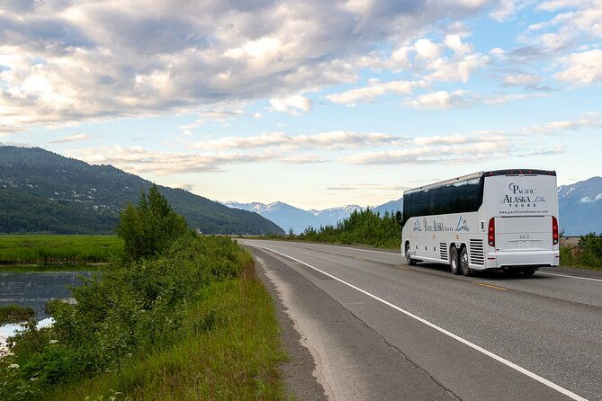 seward-to-anchorage-wildlife-adventure